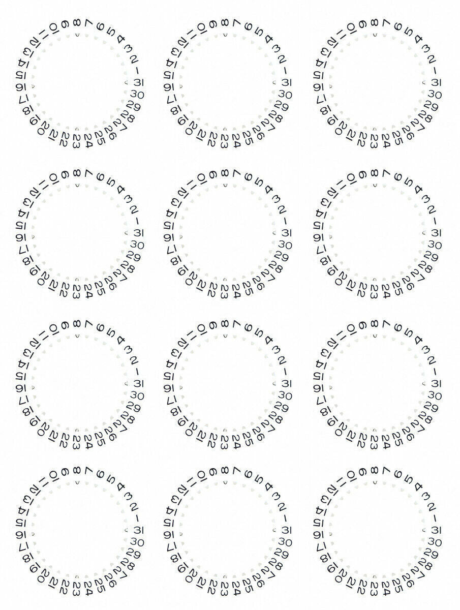 12 DATE DISC FOR ROLEX WATCH DATEJUST 3135 16233 16234 16238 116233 116234 WHITE
