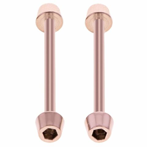 TUBE & SCREW BAR FOR 21MM BAND TISSOT T027417 A T-RACE NICKY HAYDEN LIMITED ROSE