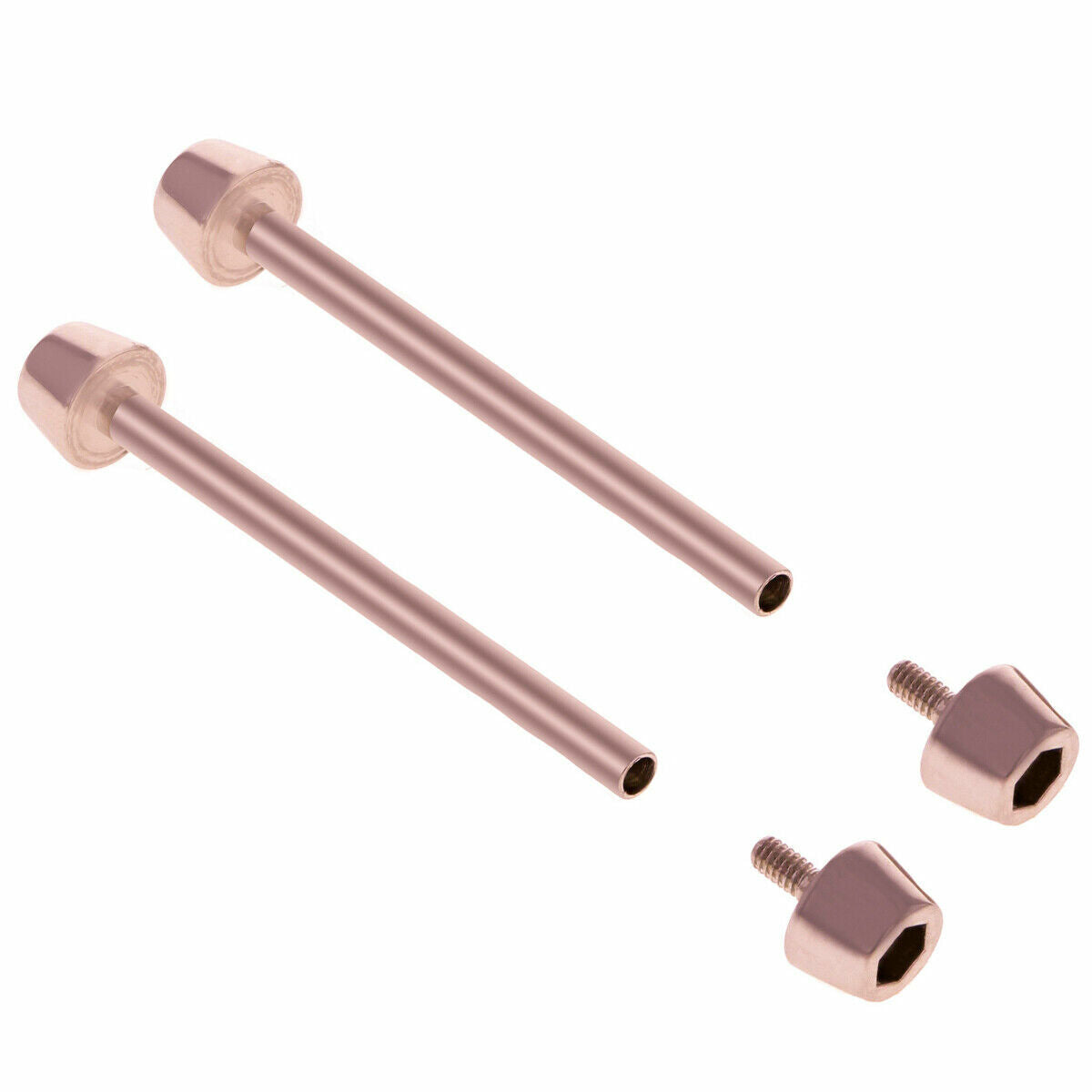 TUBE & SCREW BAR FOR 21MM BAND TISSOT T027417 A T-RACE NICKY HAYDEN LIMITED ROSE