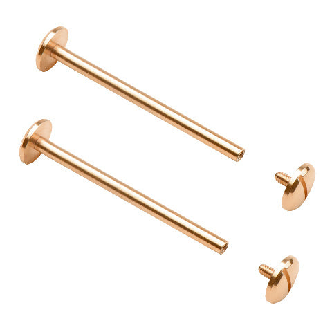 REPLACEMENT WATCH STRAP SCREW & TUBE PINS FOR MICHAEL KORS MK5412 MK5314 MK5410