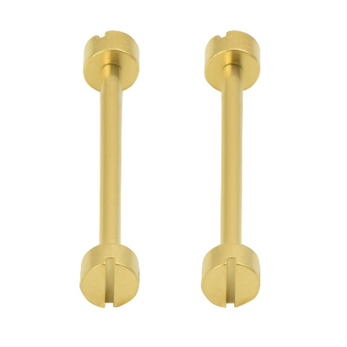 2-20MM REPLACEMENT TUBE & SCREW PIN FOR CARTIER WATCH STRAP BAND LUG YELLOW GOLD