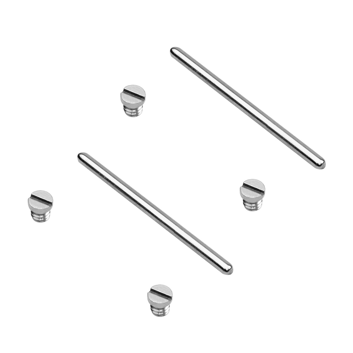 2 + 2 REMOVEABLE PIN & SCREW PIN FOR OMEGA SEAMASTER 300M 42MM BAND 2262.50.00