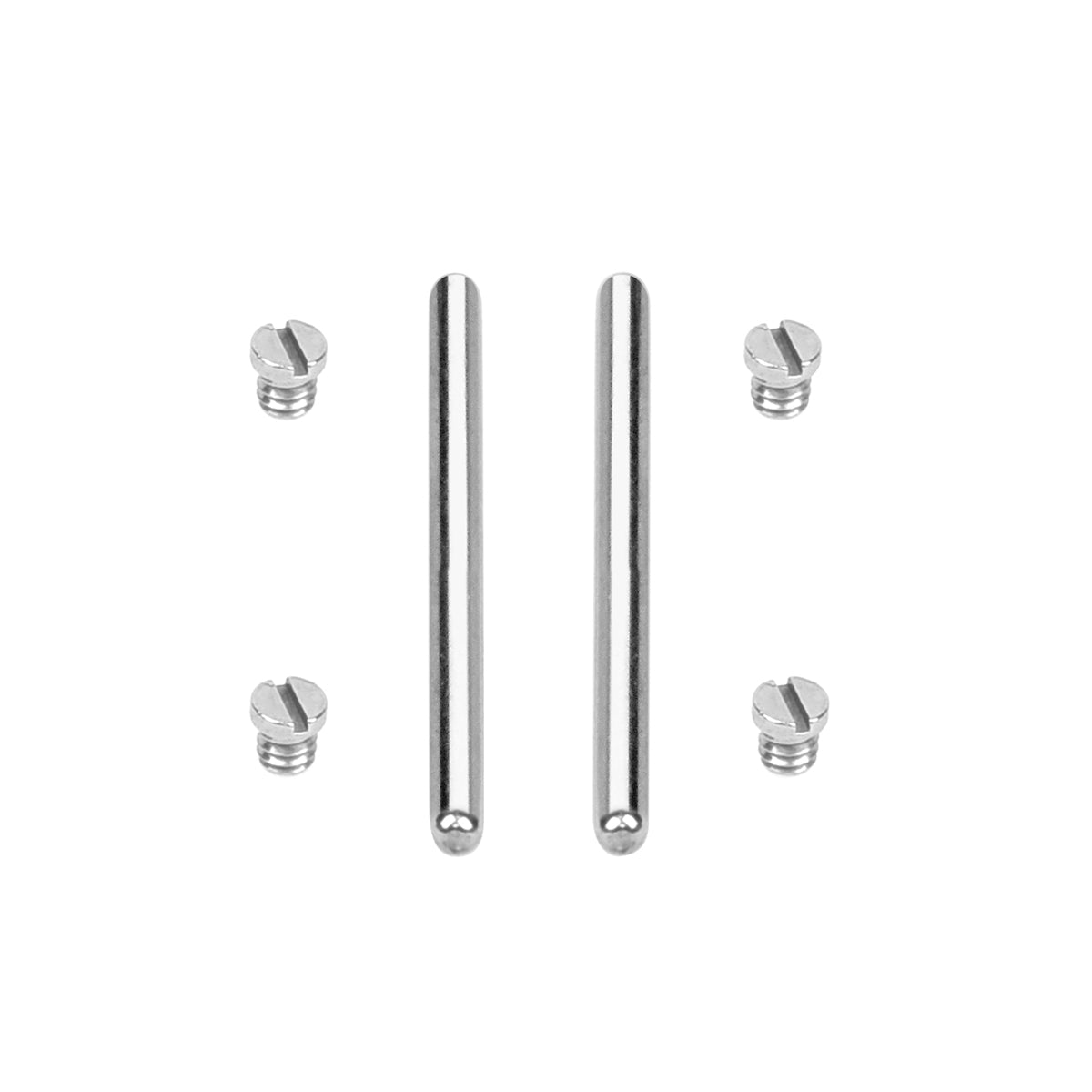 2 + 2 REMOVEABLE PIN & SCREW PIN FOR OMEGA SEAMASTER 300M 42MM BAND 2262.50.00