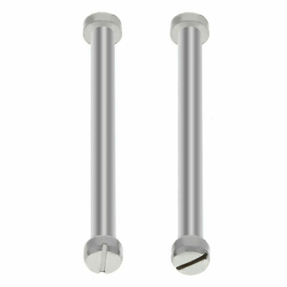 2 TUBE + 4 SCREW FOR CASIO G-SHOCK PAG-240 ,240T & -40-40B PRG-40-40B WATCH BAND