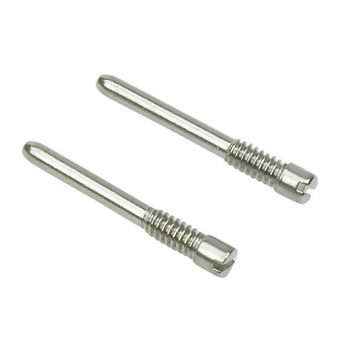 2 WATCH LUG SCREW  FOR 42MM AUDEMARS PIGUET AP ROYAL OAK  15710ST N?2153 H54020