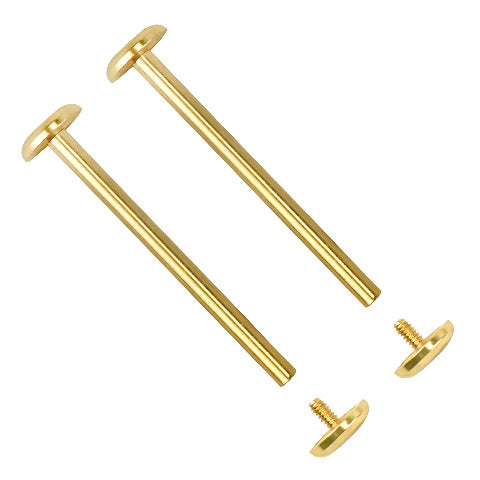 REPLACEMENT WATCH STRAP SCREW & TUBE PINS FOR MICHAEL KORS MK5412 MK5314 MK5410