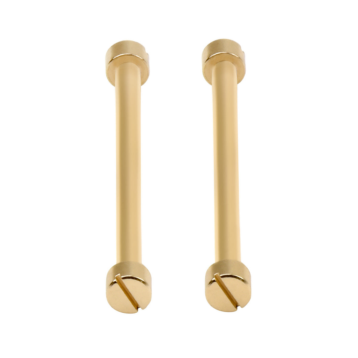 2 + 4 SCREW & TUBE (PINS ) IN 27MM WATCH STRAP GOLD COLOR