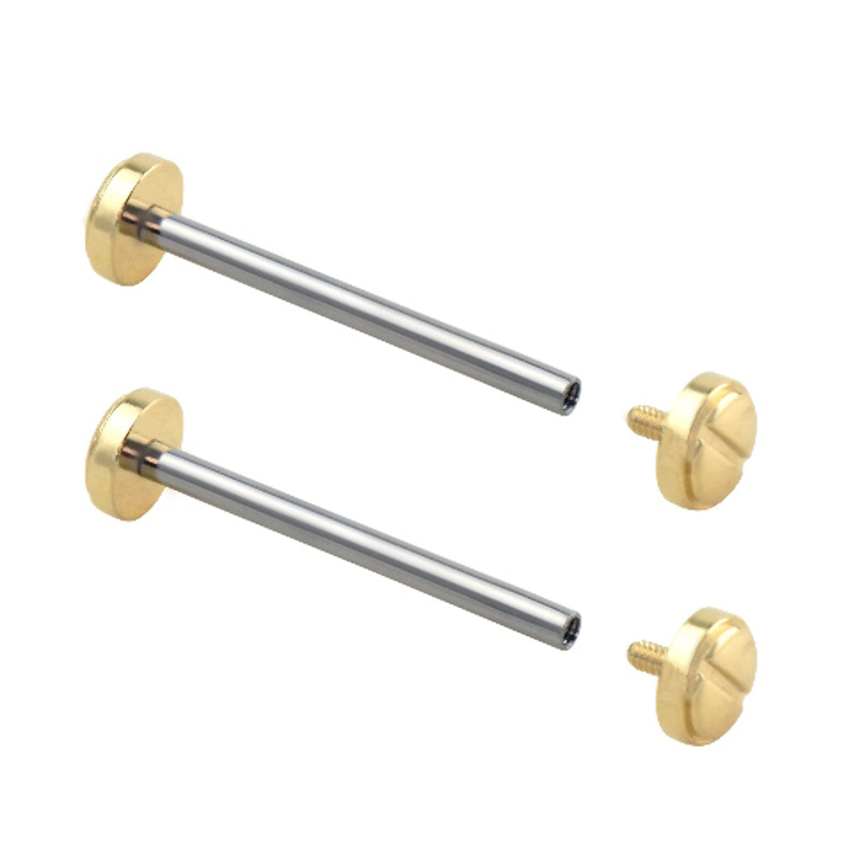 22MM-24MM REPLACEMENT WATCH TUBES & SCREWS FOR VERSACE V-RACE VC23C80D, Gold